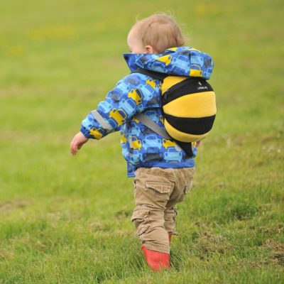 boy little life backpack