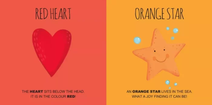 oktató játék Sassi