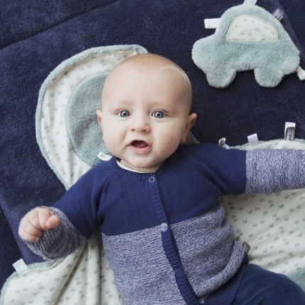 biopamut organikus autó