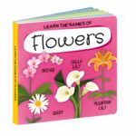 fejlesztő játék és puzzle Sassi